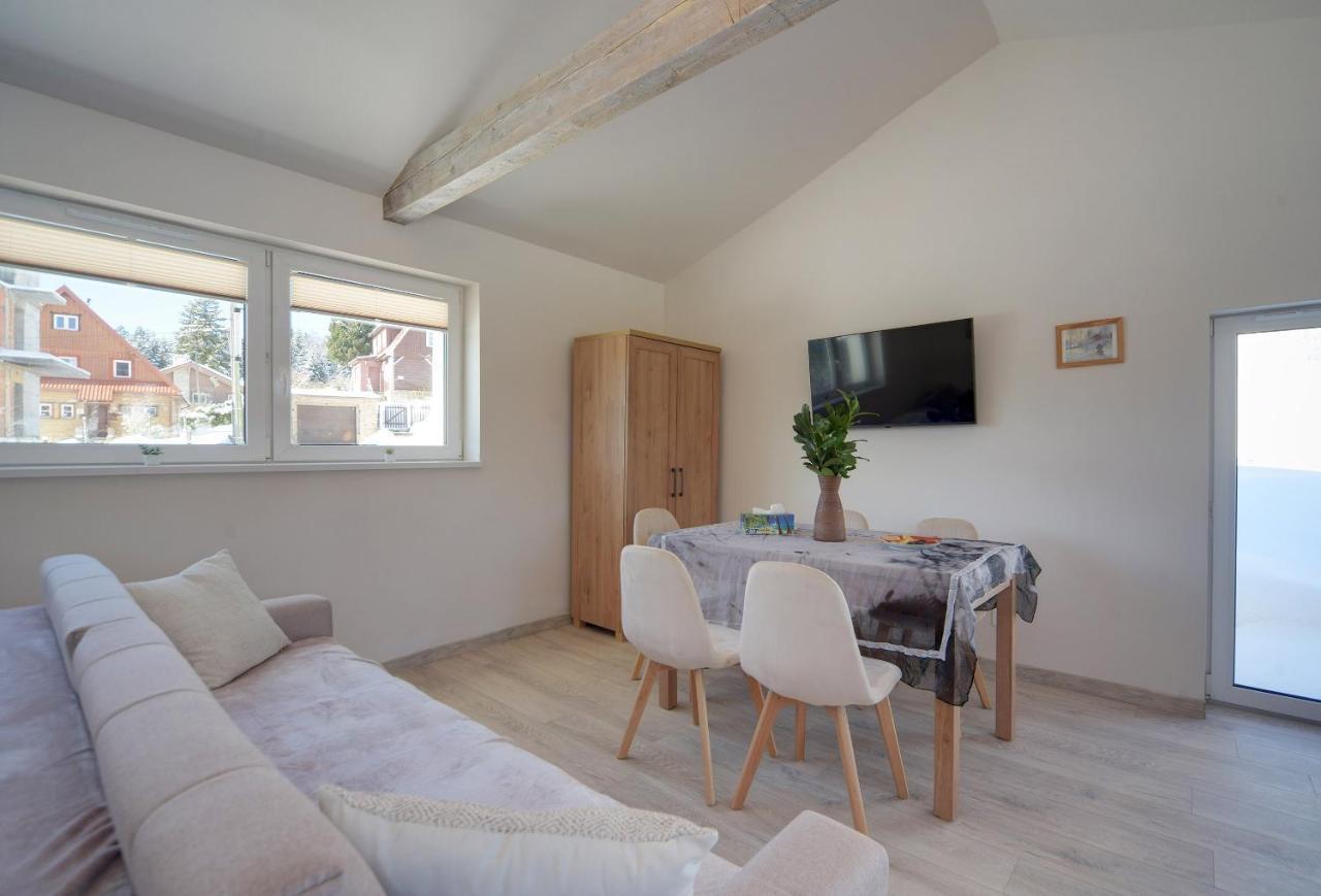 Apartament Sniezna Polana - 2-Pietrowy Apartament Idealny Dla Duzej Rodziny! Szklarska Poręba Εξωτερικό φωτογραφία